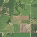 Loose steer reported on County Road 32