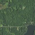 Tree partially blocking lane on 220th Avenue