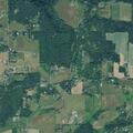 Yard fire spreads to trees on Northeast Mershon Road
