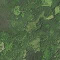 71-year-old man falls near Snow Road in Holmes Township
