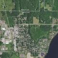 Stray dog reported near Luck School playground