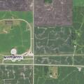 Cow loose near Highway 28 in Graceville