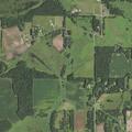 Person having allergic reaction near 185th Avenue Northeast