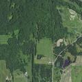 Deer creating road hazard on State Highway 48