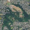 Person experiencing chest pain at residential address