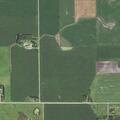 Elderly woman with dementia in distress in Morris