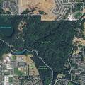 Person attempts suicide with abnormal behavior in Camas