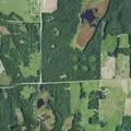 Loose horse reported by roadway near farm