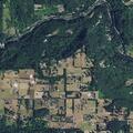 Person with allergic reaction near Washougal