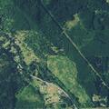 Person with abdominal pain near Gales Creek