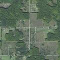 Deer blocking roadway near Beckon and Beckin Road