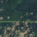 Person reporting headache near Washougal
