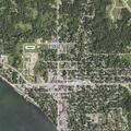 56-year-old woman intubated for respiratory arrest