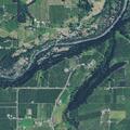Loose cow near roadway on Odell Highway
