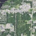 Female dehydrated and vomiting near Woodland Drive