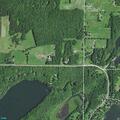 Caller reports loose hunting dog and trespassers