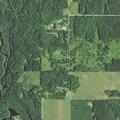 82-year-old woman with leg pain at Bear Track Lane