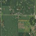 Power line arcing sparks tree fire near house
