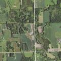 Loose cattle damaging yard and property