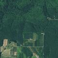 Person sick near Northwest Dixie Mountain Road