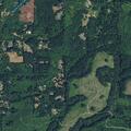 Person fell near Northeast Vine Maple Road