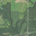 Woman aged 53 with abdominal pain and vomiting at Bark River