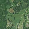 11-year-old male with back injury after diving at scout camp