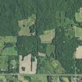 Loose cow reported on County Highway B