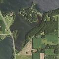 Driving complaint near Highway 29 and Maple Lake Rd