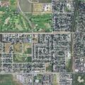 Stray dog reported at Centennial Park dog park