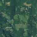 Person with diabetic issue near Main Street