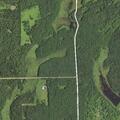 Stray dog reported at rural Ogilvie address