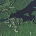 Search for person who walked into nearby woods