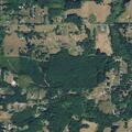 Person reported sick near NE 197th Court, Amboy WA