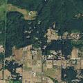 Person not breathing near Northeast 399th Street