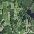 Person stung by bee suffers possible respiratory distress