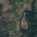 Cougar sightings reported near Trout Lake home