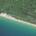 Man suffers neck injury after fall at Michigan Shores Road