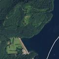 Toddler struck by falling tree at Saddle Dam