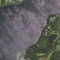 84-year-old man falls and hits head, briefly unconscious