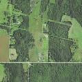 Deputy to take report on vehicle hitting deer