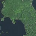 88-year-old man falls with possible broken arm