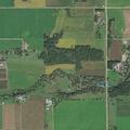 71-year-old male feeling dizzy at home in Pierz