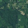 54-year-old male falls and cannot get up in Rainier