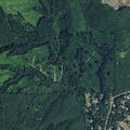 Sick person reported near Dog Creek Road