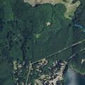 Person fell near Cougar Loop Road in Cougar, WA