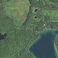 Downed power lines spark small woods fire