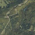 Forestry damage reported on Nelson Road