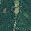 89-year-old female with chest pain near Clatskanie