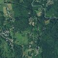 81-year-old man in severe pain after fall in Rainier
